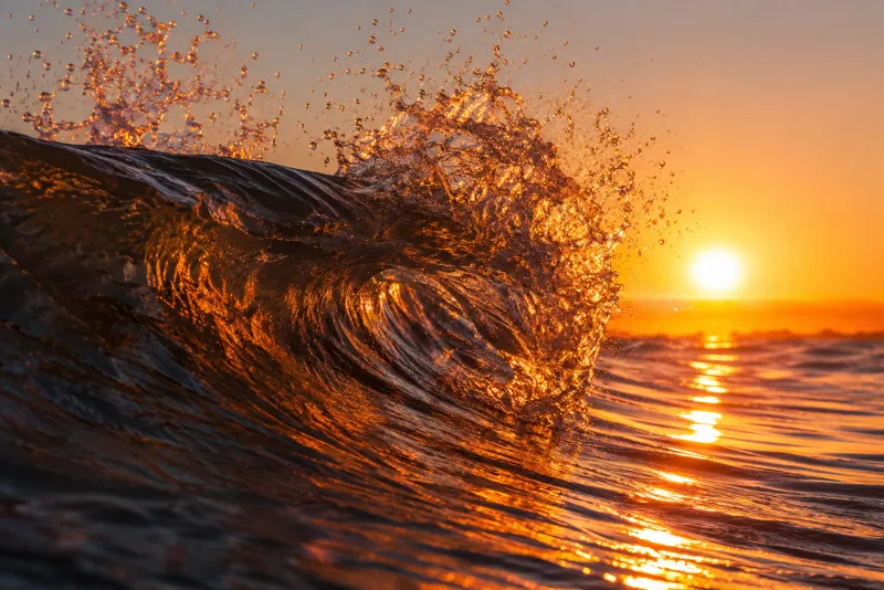Природа